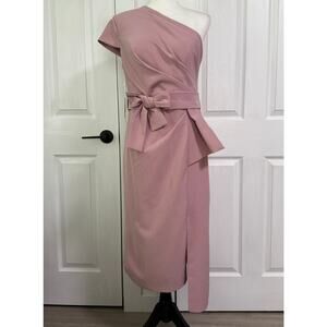 TS Couture Women's Mauve One Shoulder Dress Size Medium